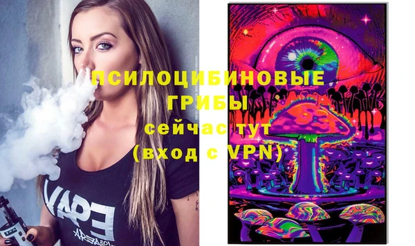 МДПВ Алзамай
