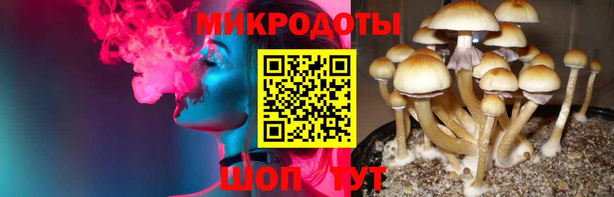 Псилоцибиновые грибы MAGIC MUSHROOMS Ухта